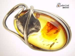 AmberLink BB0065