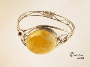 AmberLink BS0023