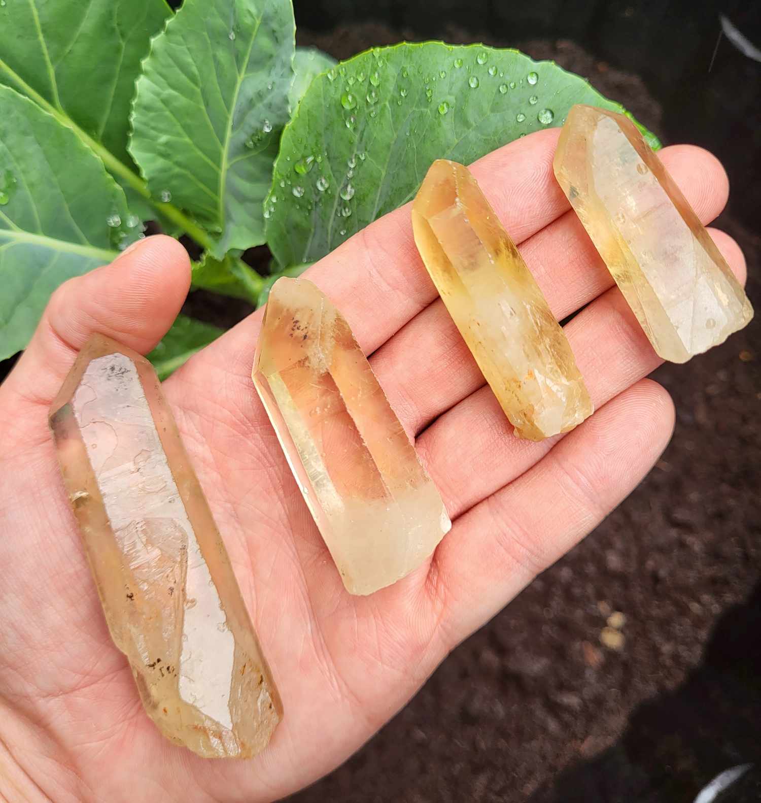 Earth Treasures