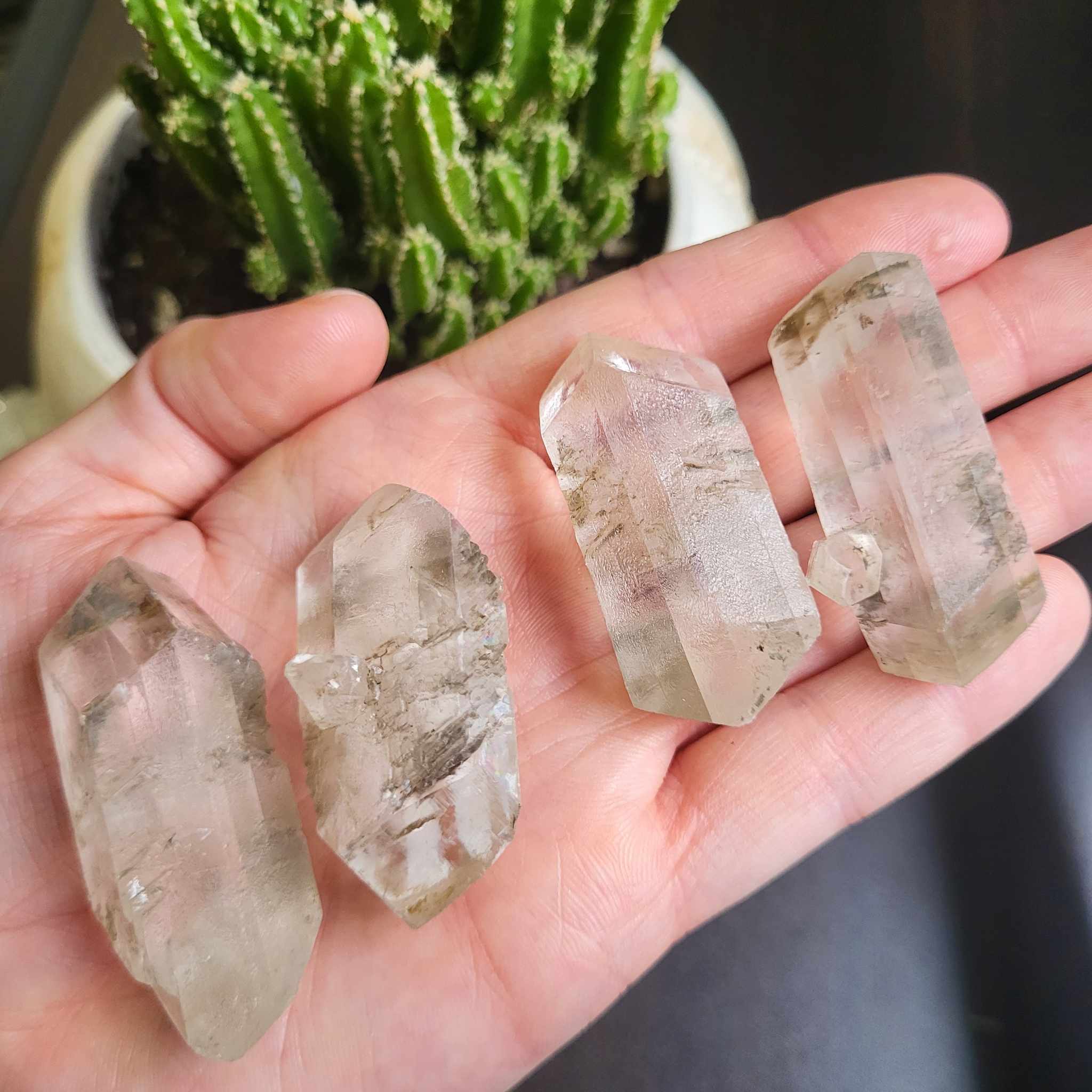 Earth Treasures