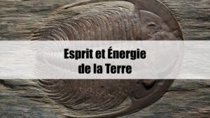 Esprit et Énergie de la Terre logo