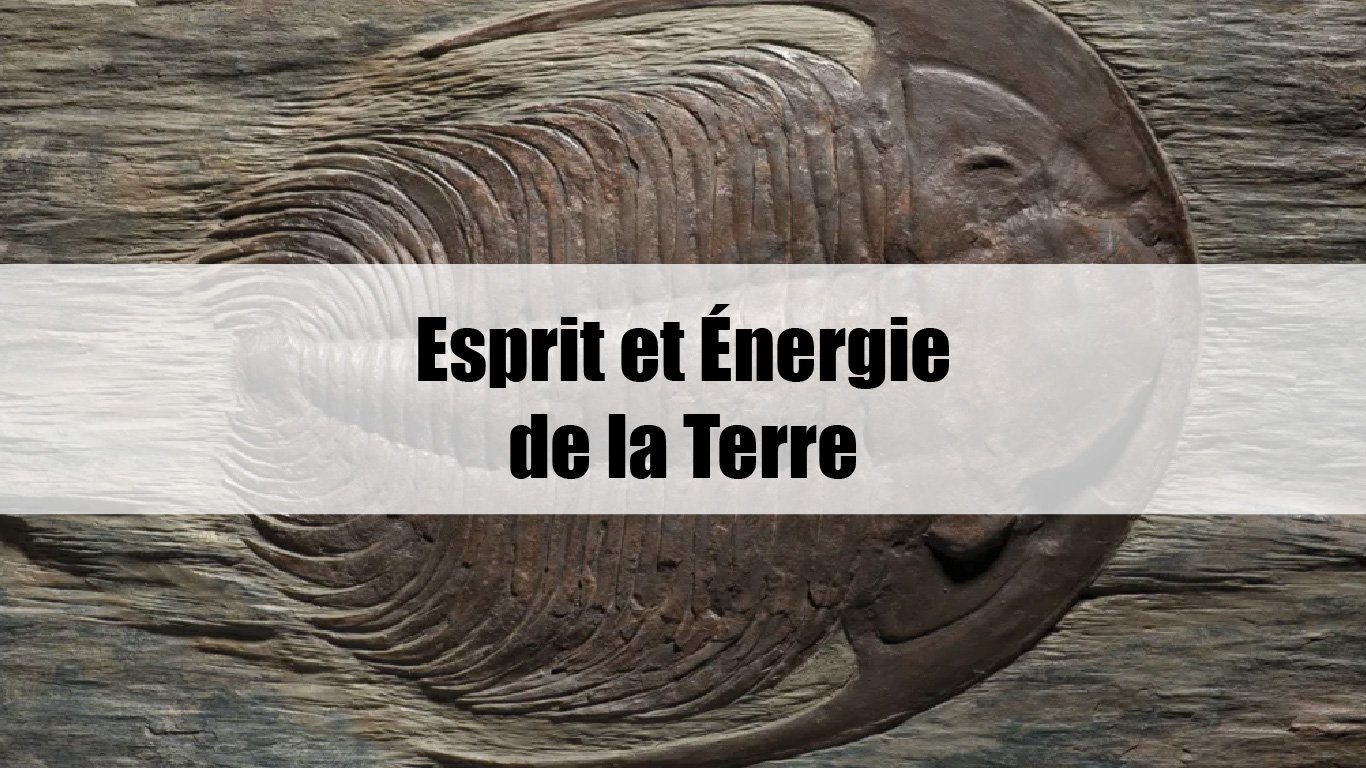 Esprit et Énergie de la Terre logo