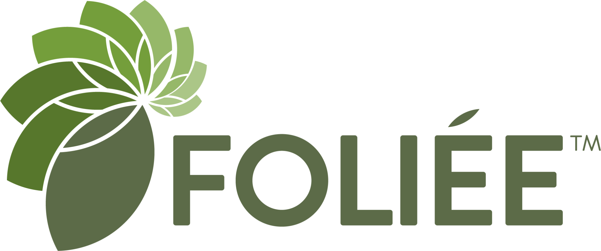 Foliée