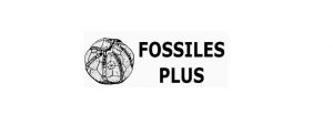 Fossiles Plus