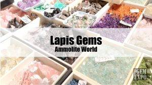 Lapis Gems Lapidary Ammolite World Header