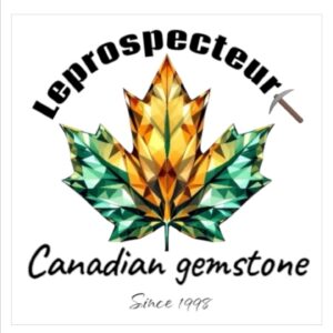 Le Prospecteur Logo