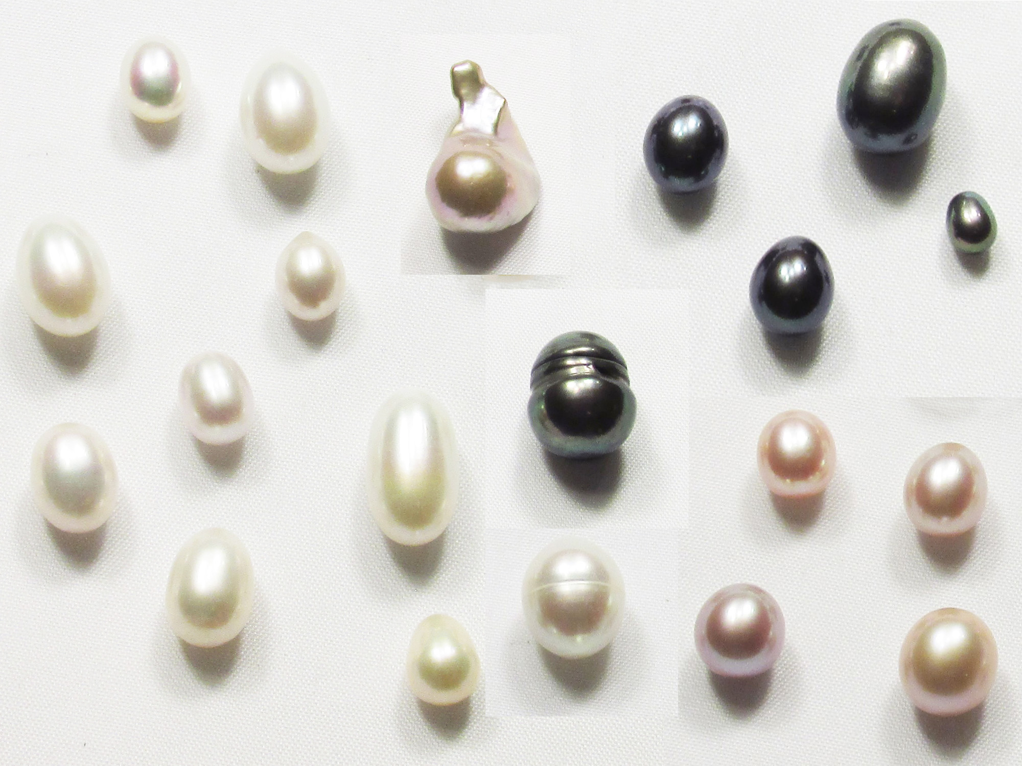 Polor Pearls
