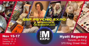 The Meta Expo