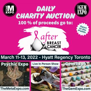 Charity Auction After Breast Cancer