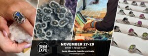 The Gem Expo Banner