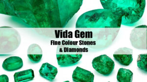 Vida Gem