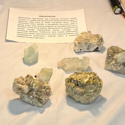 Gem Dreams Inc 4