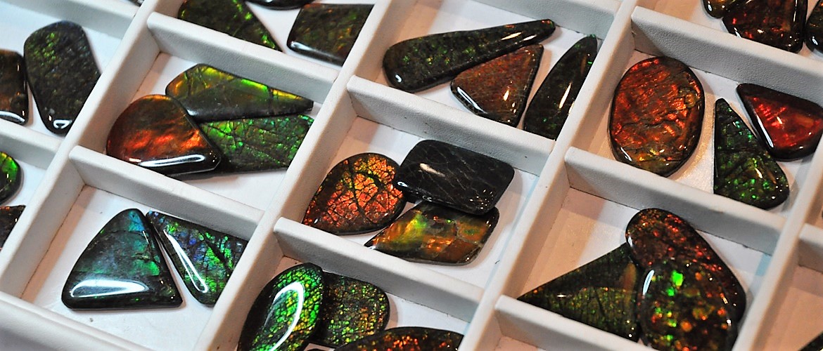 Ammolite cabochons