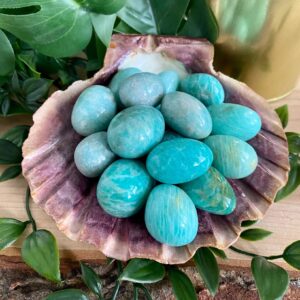 The Happy Healing Heart